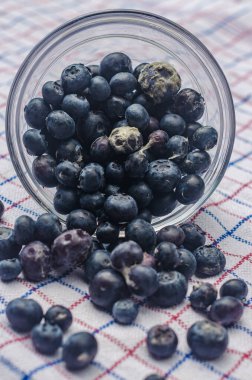 Masa örtüsünün üzerindeki kasede küflü yaban mersini. Yüksek kalite fotoğraf