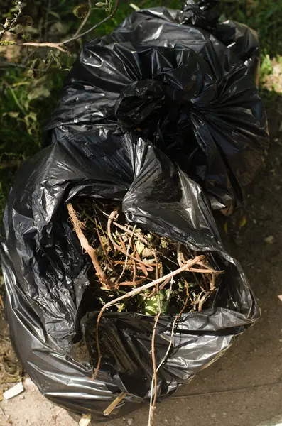 Bir açık siyah plastik torba ve dışarıda kuru kahverengi çöp. Yüksek kalite fotoğraf