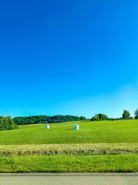 Litvanya 'da ambalajda sego çayırı manzarası. Yüksek kalite fotoğraf