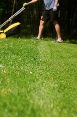 the gardener with a lawn mower is working in the backyard, a side view. High quality photo clipart