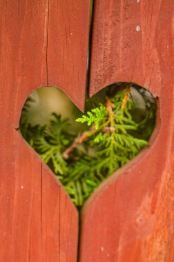 the heart-shaped cutout in the wooden fence and the greenery visible through it. High quality photo clipart