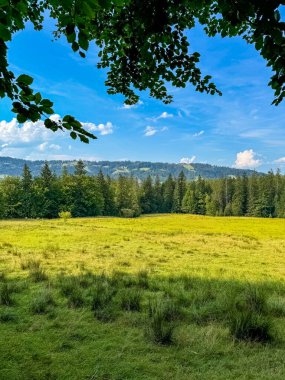  Dağlarda, çayırlarda, dağ yamaçlarında ve tepelerde bir yaz akşamının manzarası. Yüksek kalite fotoğraf
