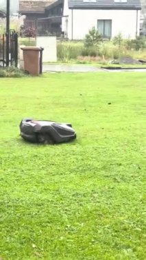 Çim biçme robotu bahçedeki çimleri biçiyor. Yüksek kalite 4k görüntü