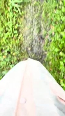 Sonbahar yağmurlu bir sonbahar gününde, yeşil hırsız botları ve pembe yağmurlukla ormanda yürüyen bir kadın, yakın plan bacaklarıyla üst kata çıkar. Yüksek kalite 4k görüntü