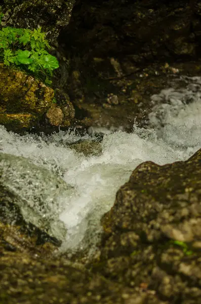 Kayaların üzerinden su akıtmak. Yüksek kalite fotoğraf