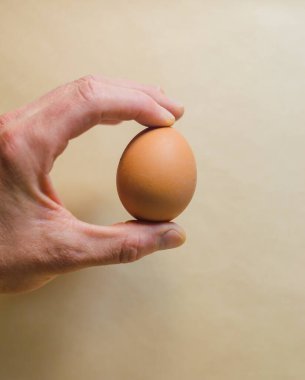 Taze yumurta, narin ve doğal, basit yiyecek. Yüksek kalite fotoğraf