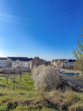Çiçek açan ağaçlı Kentsel Yeşil Alan, Konut Binaları, Açık Mavi Gökyüzü, Güneşli Gün. Yüksek kalite fotoğraf