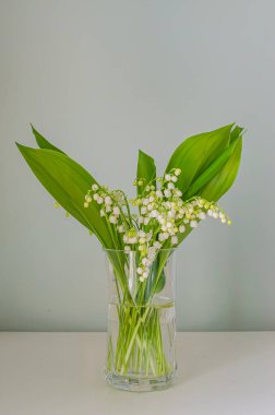 Vadi çiçeklerinin güzel zambakları yeşil yapraklı açık bir vazoda sergileniyor. Yüksek kalite fotoğraf