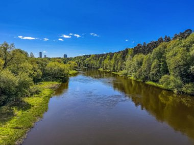 Canlı ağaçların ve suyun üzerinde parlak mavi gökyüzünün olduğu sakin nehir manzarası. Yüksek kalite fotoğraf
