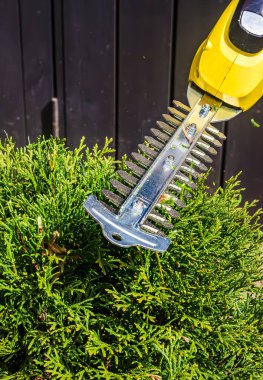 Elektrikli budayıcı, güneş ışığı alan canlı bir bahçe ortamında yeşil çalılıkları şekillendiriyor. Yüksek kalite fotoğraf