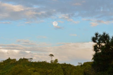 Orman, güneş ışığı aydınlatan ve muhteşem dolunay merkezde, gökyüzü dramatik bulutlarla dolu.