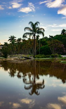 Yansıtan ağaçlar ve küçük bir köprüsü olan palmiye ağaçları.