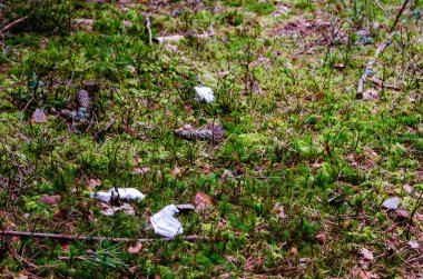 Orman yollarında yürürken, her yere çöp atılıyor, uzun süre yok olmayacak olan doğa için tehlike arz ediyor.