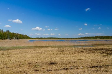 Doğada güzel güneşli bir bahar günü, mavi gökyüzü, arka planda ağaçların yeşil yaprakları, göl ve çayırlar, yatay
