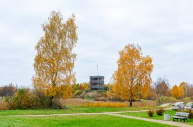 Renkli yeşillik manzaralı sonbahar parkı ağaçları. Sakin park sahnesi, canlı sonbahar renkleri, geniş açı perspektif, açık hava düzeni, barışçıl ruh hali, açık mavi gökyüzü arkaplan.