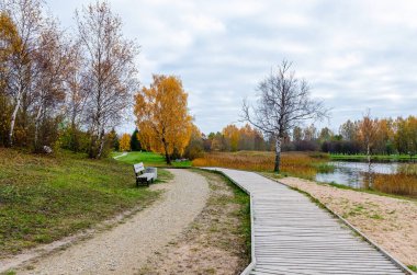 Renkli yeşillik manzaralı sonbahar parkı ağaçları. Sakin park sahnesi, canlı sonbahar renkleri, geniş açı perspektif, açık hava düzeni, barışçıl ruh hali, açık mavi gökyüzü arkaplan.