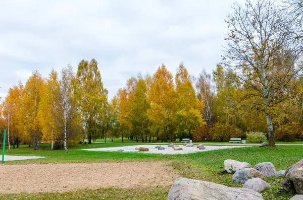 Renkli yeşillik manzaralı sonbahar parkı ağaçları. Sakin park sahnesi, canlı sonbahar renkleri, geniş açı perspektif, açık hava düzeni, barışçıl ruh hali, açık mavi gökyüzü arkaplan.