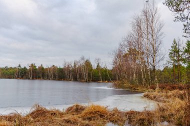 Kışın donmuş gölün yanındaki ağaçlar. Sakin ruh hali, geniş açı, göz hizası, donmuş göl, kış manzarası, huş ağaçları, dingin ve doğal manzara, günbatımı.