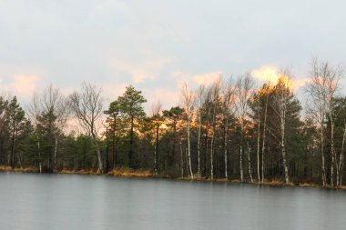 Donmuş bir göl ve huş ağaçlarının üzerinde gün batımı. Sakin bir kış sahnesi, sakin bir ruh hali, geniş açılı çekim, göz hizasında çekilmiş, ağaçlarla çevrili sakin, buzlu bir göl, huzurlu doğa..