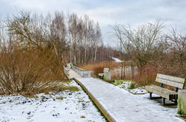 Donmuş bir bataklıkta soğuk, ahşap bir patika. Sakin bir kış sahnesi, donuk sulak bir arazide çıplak ağaçlar, sazlıklar ve buzlu sükunetle çevrili soğuk ahşap bir patika sergiliyor..