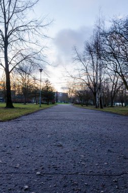 Boş park yolu kış sonu günbatımı sahnesinde yapraksız ağaçlarla kaplı. Sakin ve sakin bir atmosfer, düşük açılı çekim, düz bir bakış açısı, şehir parkı, kış geçişi, yumuşak doğal ışık, mevsimsel değişim, barışçıl açık hava düzeni.