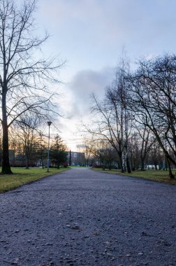 Boş park yolu kış sonu günbatımı sahnesinde yapraksız ağaçlarla kaplı. Sakin ve sakin bir atmosfer, düşük açılı çekim, düz bir bakış açısı, şehir parkı, kış geçişi, yumuşak doğal ışık, mevsimsel değişim, barışçıl açık hava düzeni.