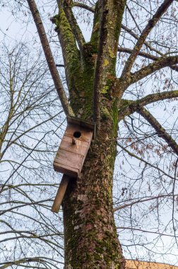 Yosun ağacında asılı ahşap kuş evi, doğal vahşi yaşam barınağı konsepti. Hala itiraz ediyorum, sakin ruh hali, göz hizasında çekim, detaylı doku, açık hava ortamı, çevre dostu yaşam alanı, mevsimsel geçiş, kırsal bölge teması.