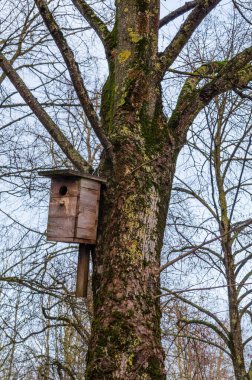 Yosun ağacında asılı ahşap kuş evi, doğal vahşi yaşam barınağı konsepti. Hala itiraz ediyorum, sakin ruh hali, göz hizasında çekim, detaylı doku, açık hava ortamı, çevre dostu yaşam alanı, mevsimsel geçiş, kırsal bölge teması.