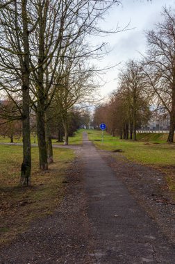 Yeşil parktan uzak kentsel binalara giden dar asfalt yol. boş yürüyüş yolu, huzurlu ruh hali, düşük açılı çekim, lider çizgiler, banliyö parkı, şehir doğası, sabah ışığı.