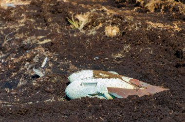 Paslı bomba mermileri soluk gökyüzünün altında unutulmuş savaş sonrası tarlasında sessizce yatıyor. Issız topraklarda terk edilmiş savaş kalıntılarının düşük açılı çekimi sessizlik ve ihtilaf sonrası bozulmaya neden olur..