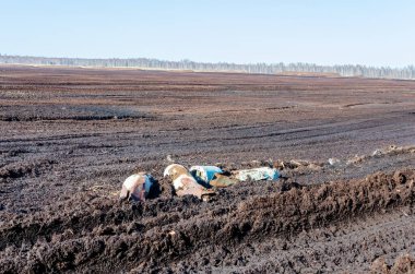 Paslı bomba mermileri soluk gökyüzünün altında unutulmuş savaş sonrası tarlasında sessizce yatıyor. Issız topraklarda terk edilmiş savaş kalıntılarının düşük açılı çekimi sessizlik ve ihtilaf sonrası bozulmaya neden olur..