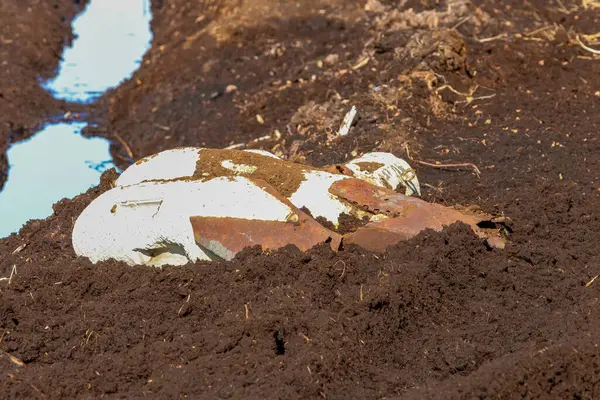 Paslı bomba mermileri soluk gökyüzünün altında unutulmuş savaş sonrası tarlasında sessizce yatıyor. Issız topraklarda terk edilmiş savaş kalıntılarının düşük açılı çekimi sessizlik ve ihtilaf sonrası bozulmaya neden olur..