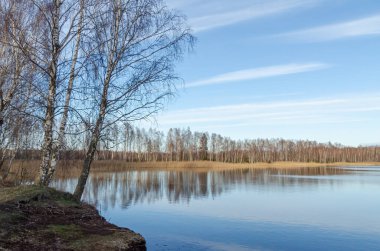 Parlak mavi bir bahar gökyüzünün altında çıplak huş ağaçlarıyla sakin bir göl manzarası. Geniş açılı sakin göl manzarası ve yapraksız huş ağaçları, huzurlu ruh hali, erken bahar atmosferi, yumuşak doğal ışık.