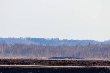 Belirsiz gökyüzünün altında, katmanlı ağaç hattının ve bezelye tarlasının üzerindeki uzak orman gözlem kulesi. Alçaktan çekilen uzun lensli telefoto, huş ağacının sakin katmanlarını ve sis altındaki uzak kuleyi yakalıyor..