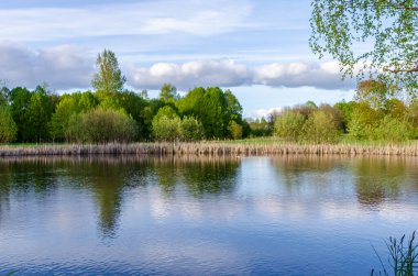 Yalnız ağaç, güneşli bir bahar akşamı gökyüzünün altında durgun bir göletin üzerinde duruyor. Sakin bahar günbatımı, geniş açılı çekim, yansıtıcı su, kırsal çayır, durgun ruh hali, doğal yalnızlık ve huzur kavramı..