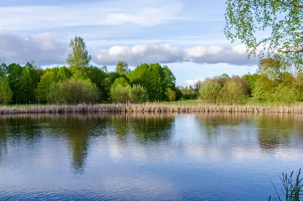 Yalnız ağaç, güneşli bir bahar akşamı gökyüzünün altında durgun bir göletin üzerinde duruyor. Sakin bahar günbatımı, geniş açılı çekim, yansıtıcı su, kırsal çayır, durgun ruh hali, doğal yalnızlık ve huzur kavramı..