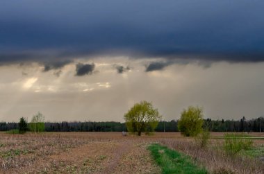 Fırtına bulutları bahar tarlalarının üzerinde toplanırken güneş ışınları gökyüzünü delip geçiyor. Fırtına bulutlarının arasından ışık huzmeleri, dramatik ruh hali, göz hizası geniş görüş alanı, kırsal alanlar, hava kontrastı ve doğal drama.