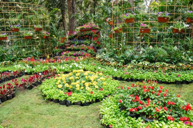 İmparatoriçe bahçesinin güzel manzarası
