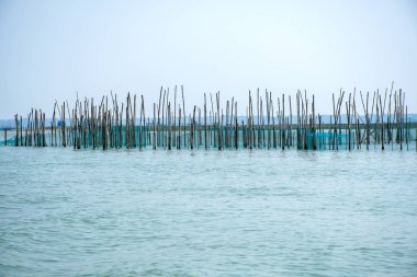 Chilika Gölü Hindistan 'a kurulmuş balık ağı manzarası