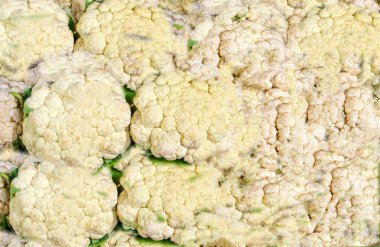 Çiftçinin hasat ettiği tarım sebzesi Karnabahar