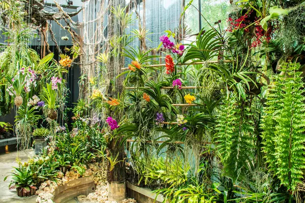 Floral Fantasy Singapur 'da Orkide Çiçeklerinin Çeşitliliği