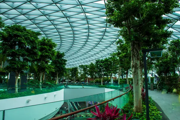 Changi havaalanındaki güzel tepe parkı.