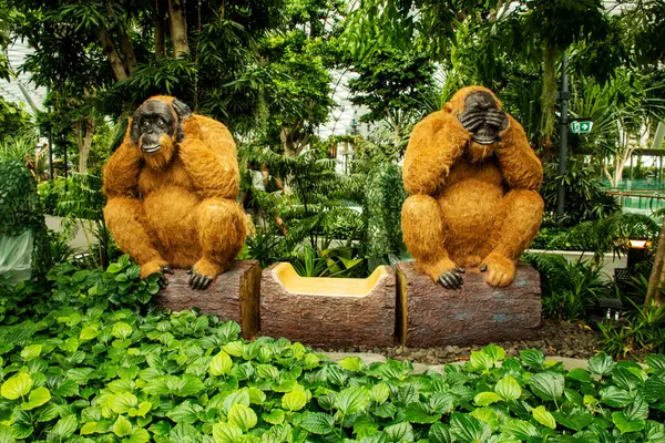 Jewel Changi Havaalanı 'ndaki Maymun Fotoğraf Parkı