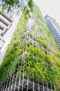 Yüksek Binalar İçin Yeşil Mimarlık Konsepti