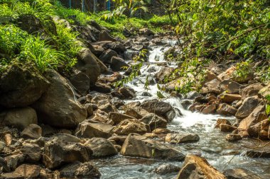 Tamhini Ghat Ormanı 'nın güzel deresi