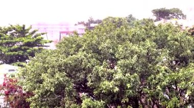 Ani sağanak şehrin havasını değiştirdi