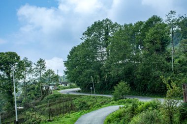 Butan 'da paralel elektrik hatları olan kıvrımlı Hilly yolu
