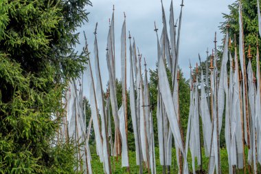 Bhutan bölgesindeki dağ geçitlerinde Darchog olarak bilinen dikey Tibet dua bayrakları