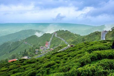 WB 'den Darjeeling' in Mutlu Vadi Çay Evi 'nin muhteşem manzarası.