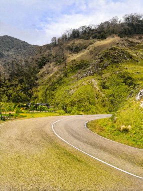 Yak Bos Grunniens, Tsomgo Gölü 'nde Tüylü sığır veya yerli öküz olarak da bilinir. Doğu Sikkim.